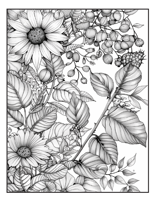 200 Butterfly Girl ColoringPages for Adults