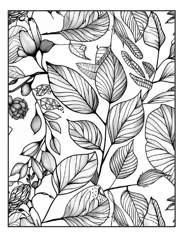 200 Butterfly Girl ColoringPages for Adults