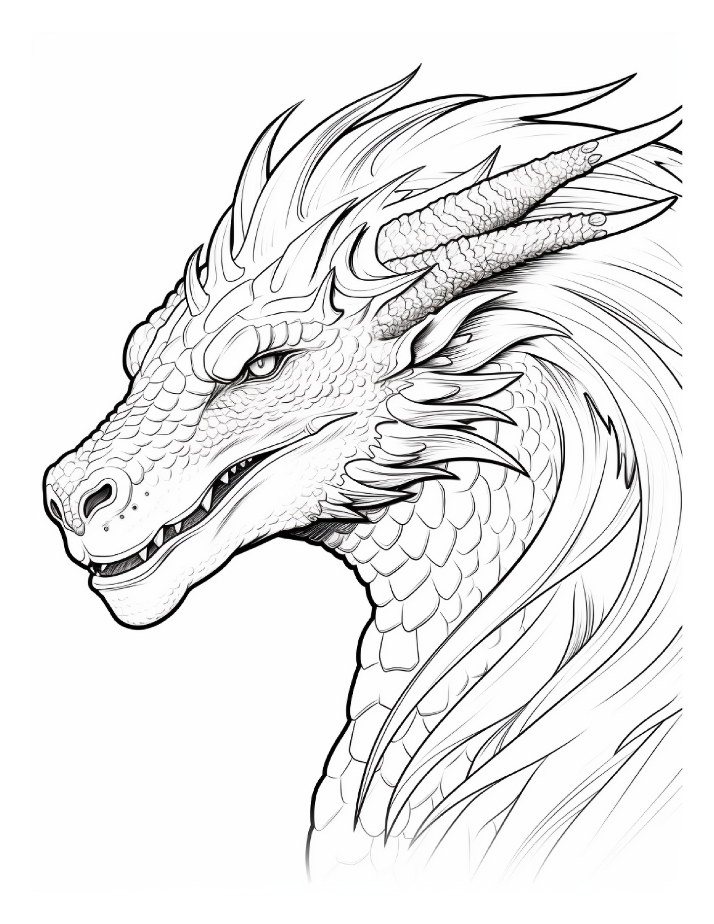 255 Dragon Coloring Pages For Adults